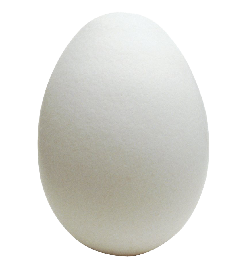 Clipart di uovo di Pasqua bianco