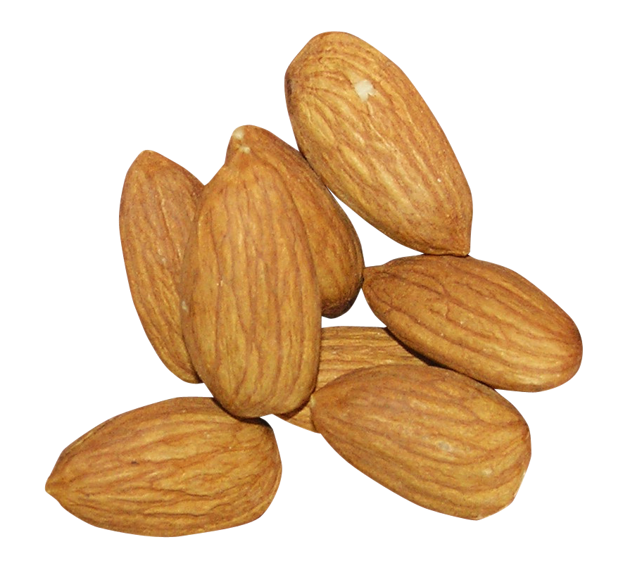 Almond Nut PNG Background Image