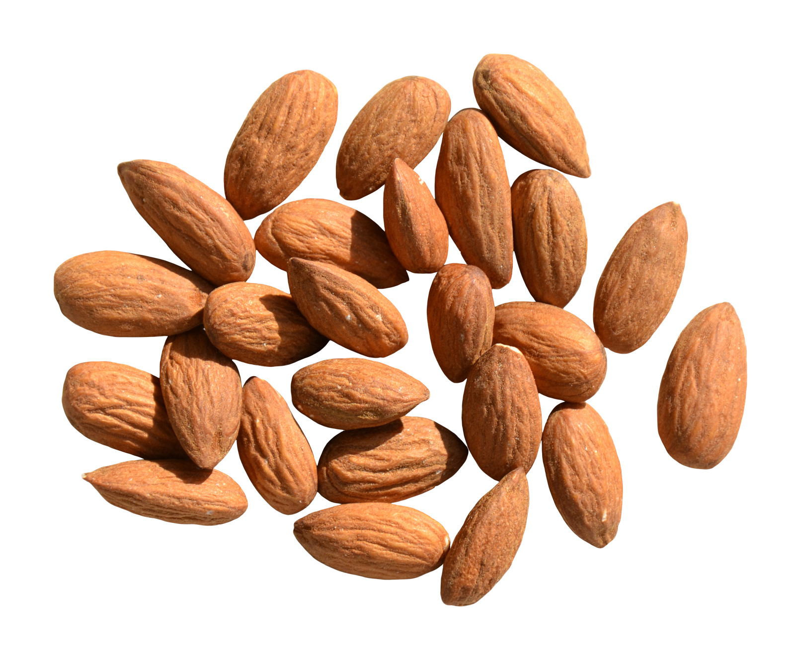 Almond Nut PNG Clipart