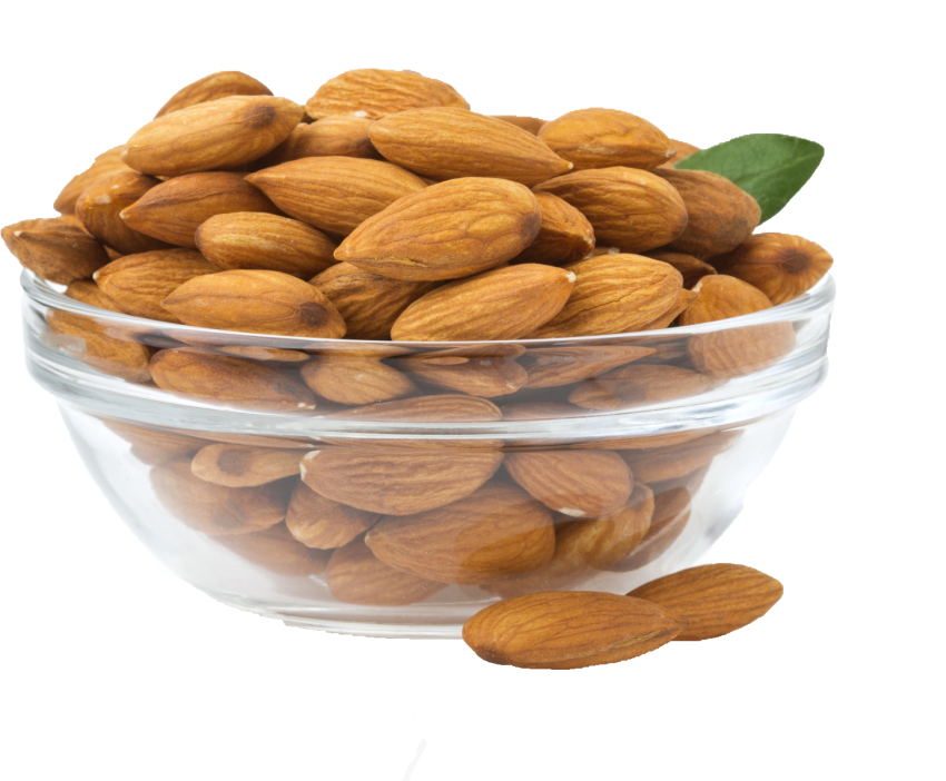 Almond Nut PNG Free Download
