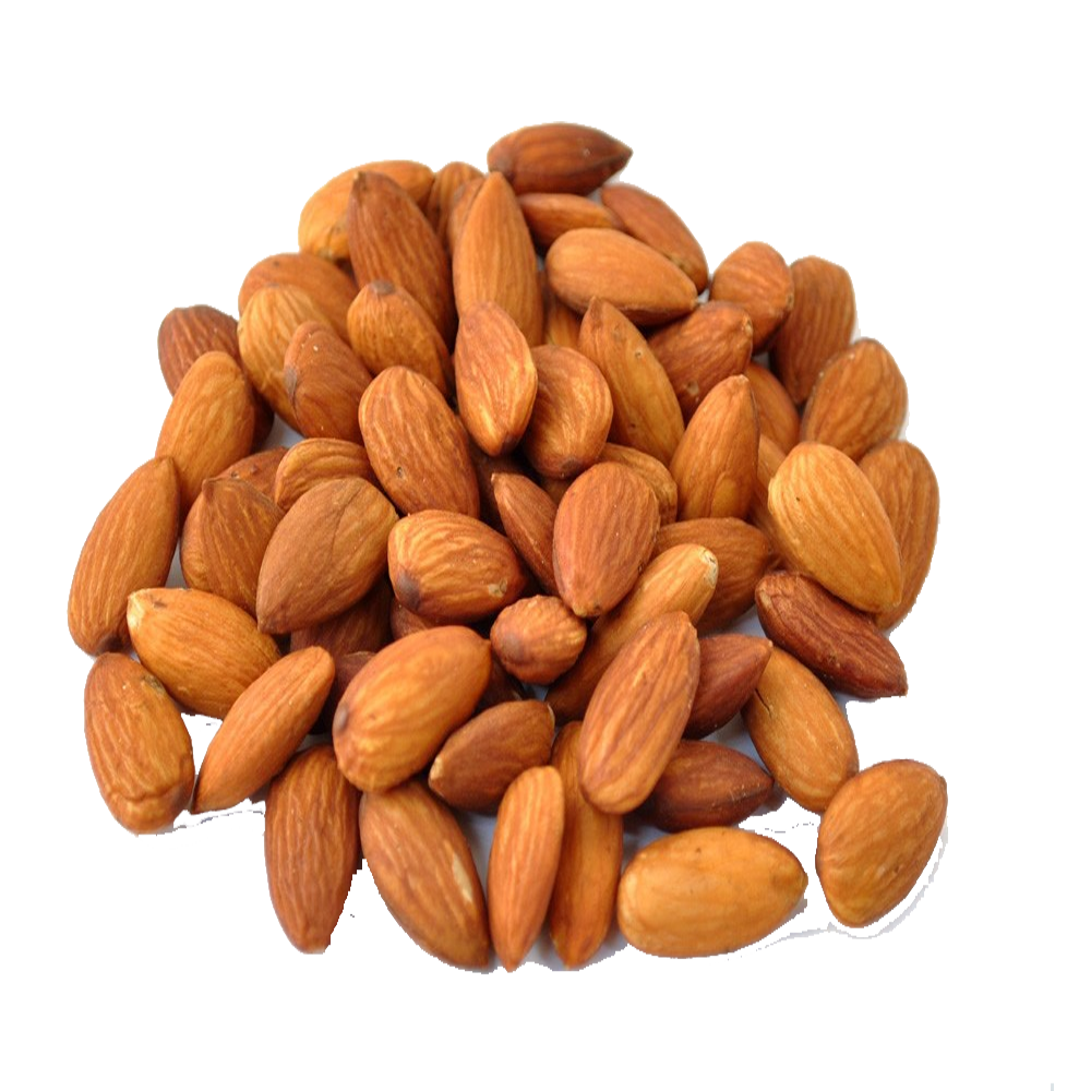 Almond Nut PNG HD