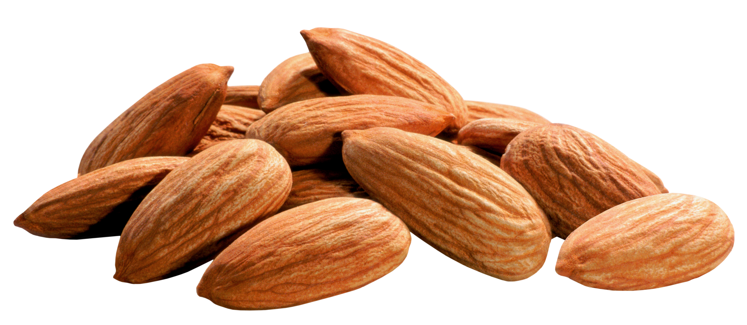 Almond Nut PNG Pic