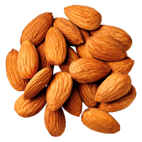 Almond Nut PNG Picture