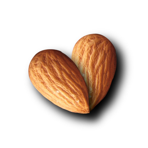 Almond Nut Transparent Background