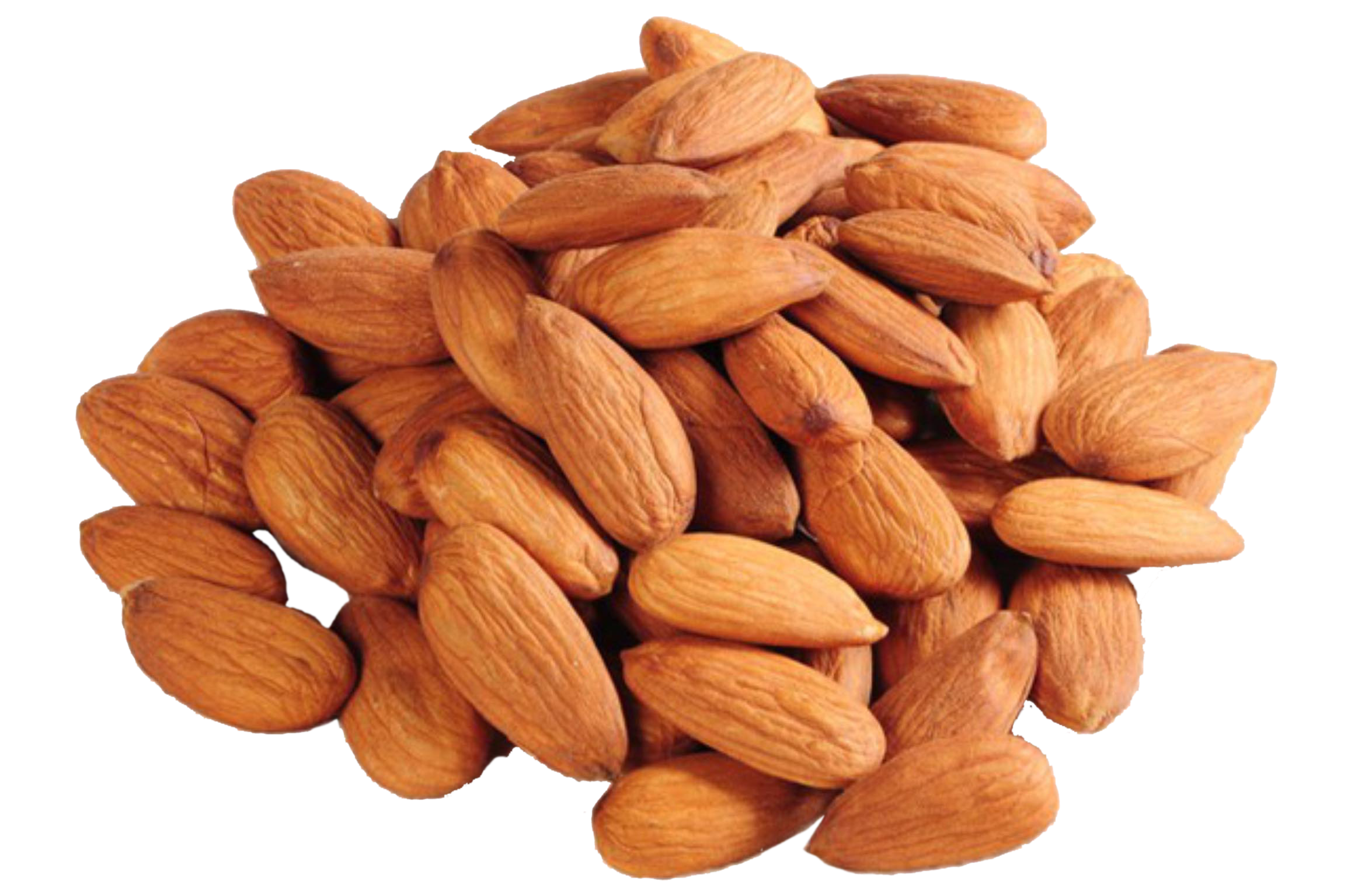 Almond Nut Transparent PNG