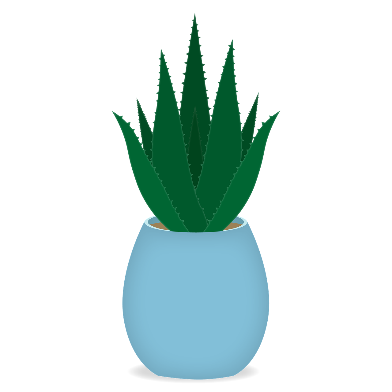 Aloe Vera en pot Télécharger limage PNG