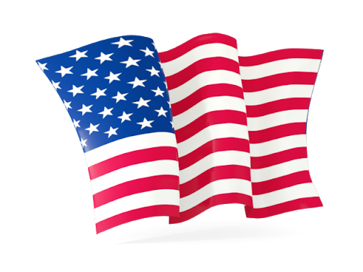 American Flag Logo PNG transparentbild