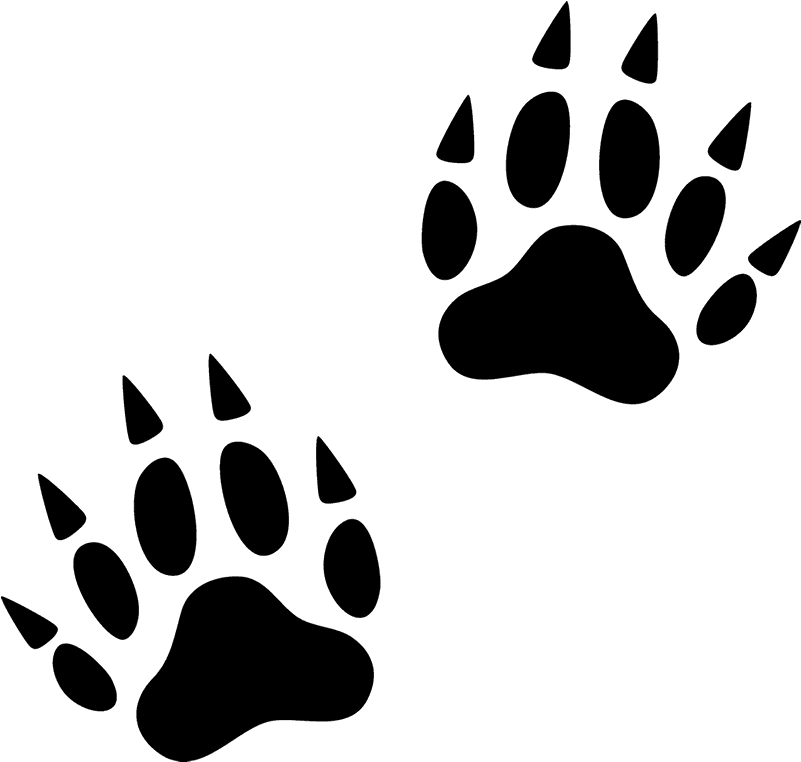 Animal Footprint PNG Transparent Image