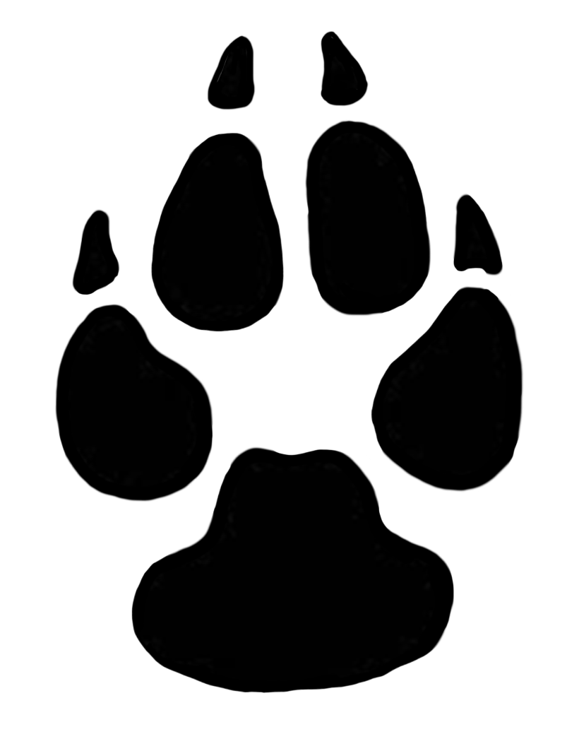 Animal Footprint PNG Transparent Picture