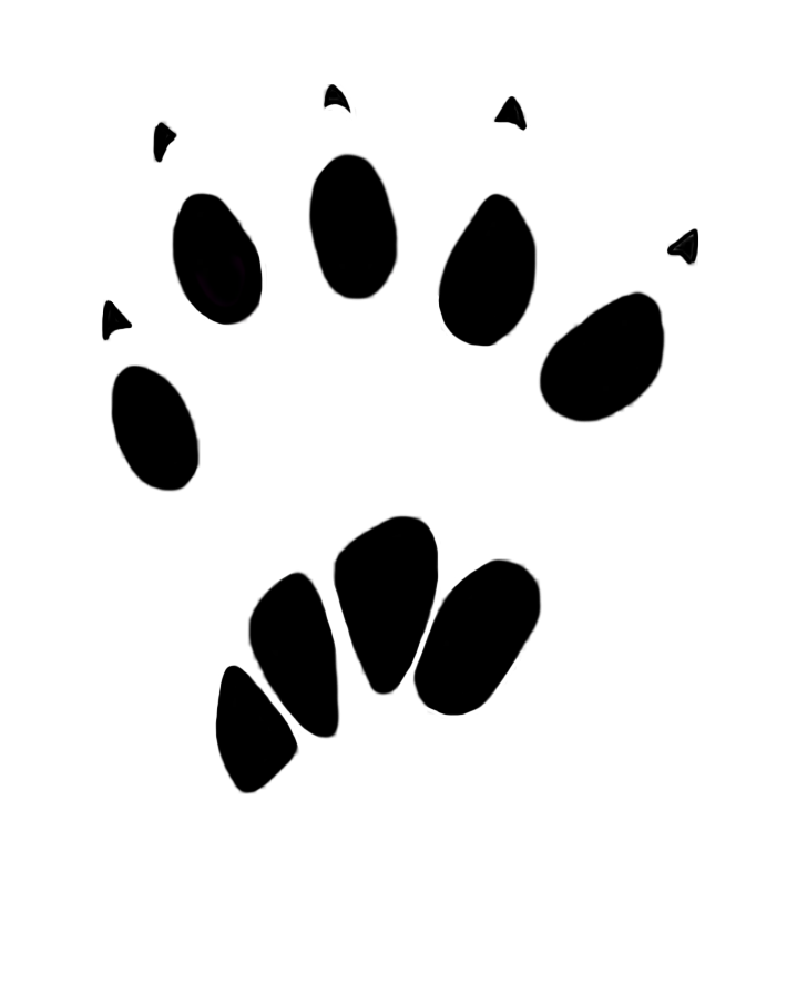Animal Footprint Transparent Images PNG