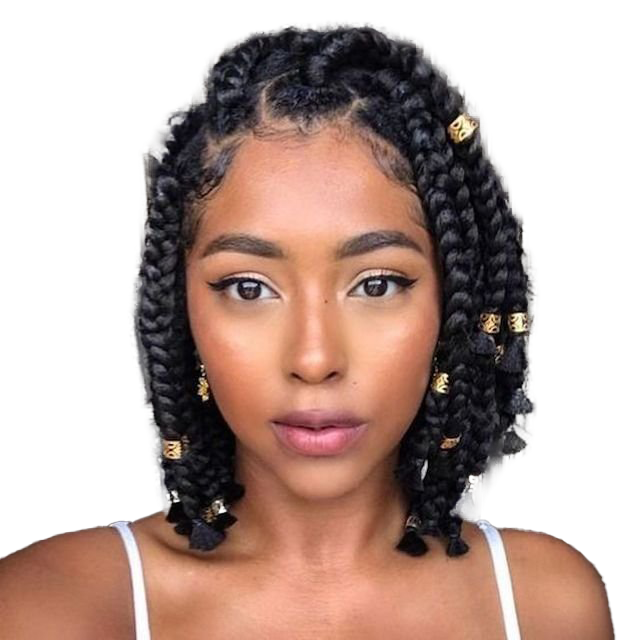 Braids Hairstyle Background PNG