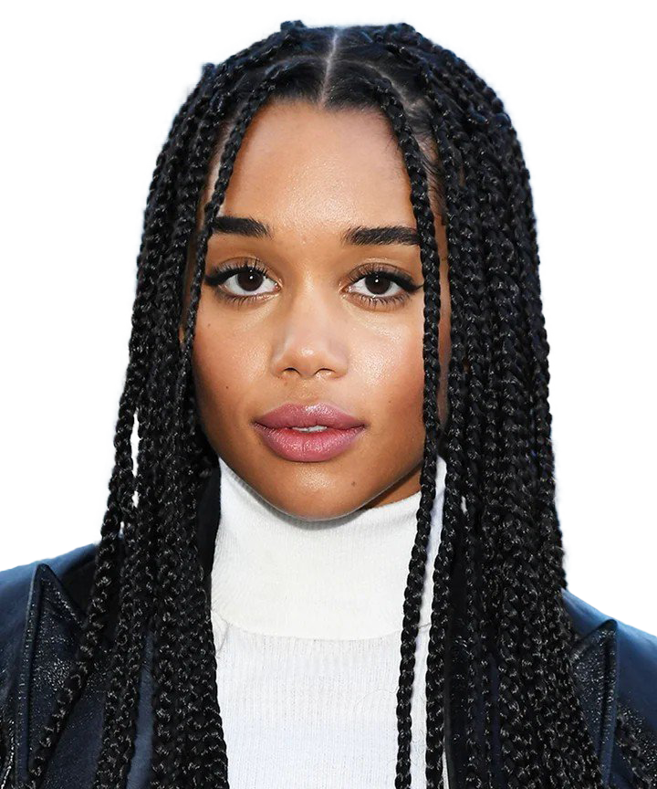 Braids Hairstyle PNG Picture