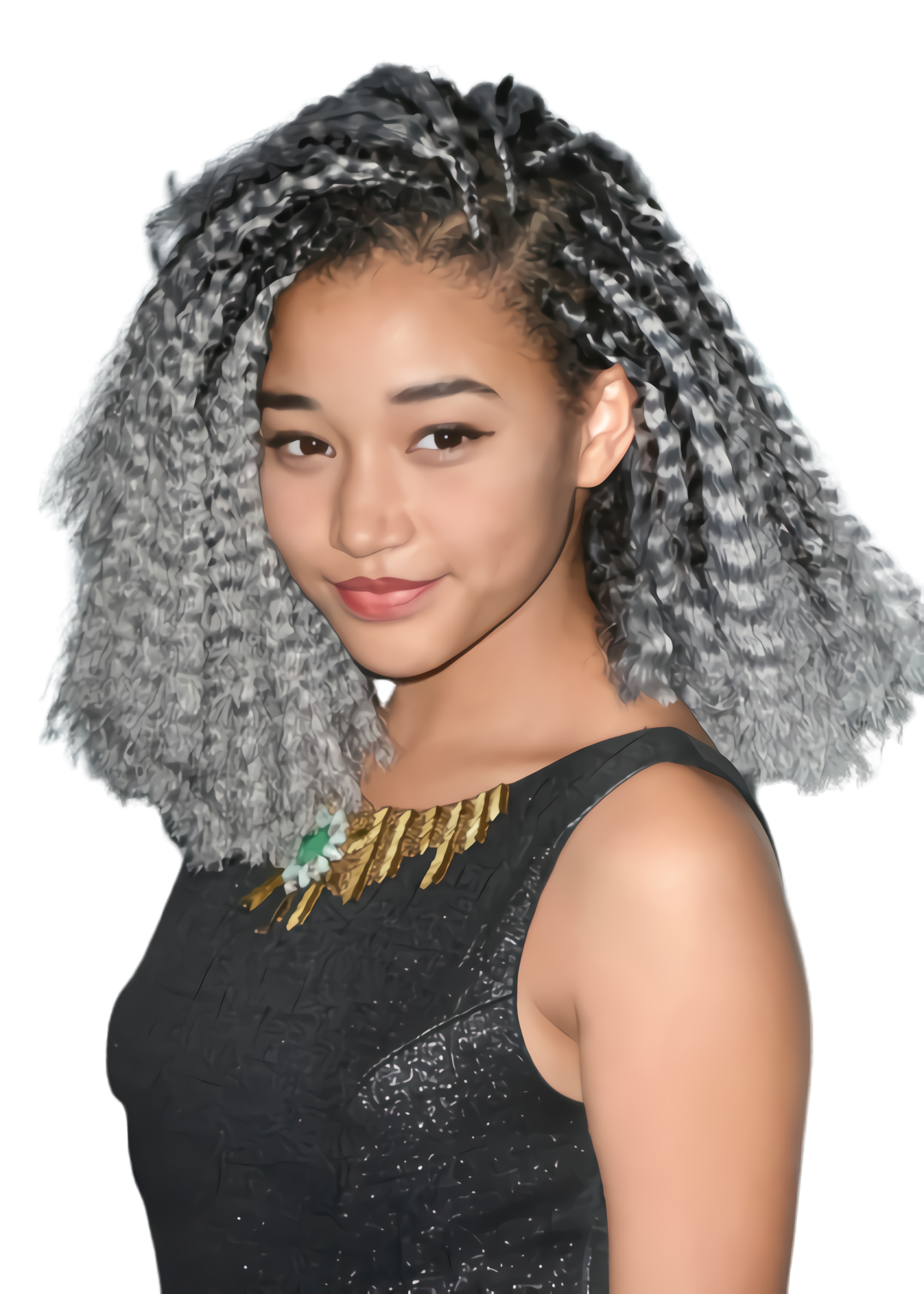 Braids Hairstyle PNG Transparent