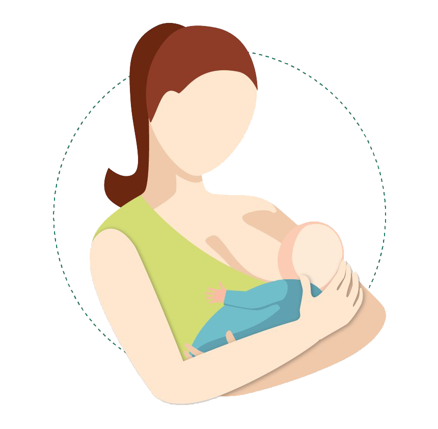 Breastfeeding PNG Clipart