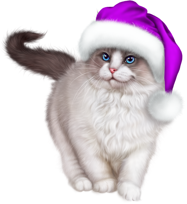 Cat Christmas PNG Free Download