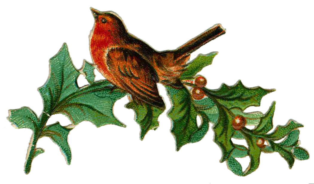 Christmas Bird PNG Clipart