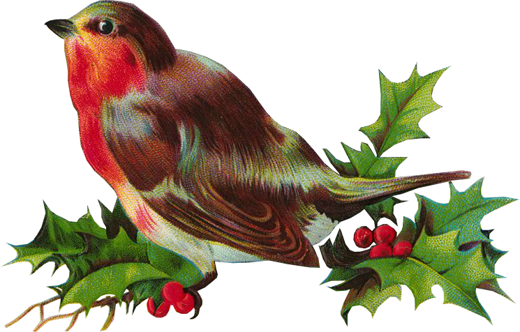 Weihnachtsvogel PNG-Datei