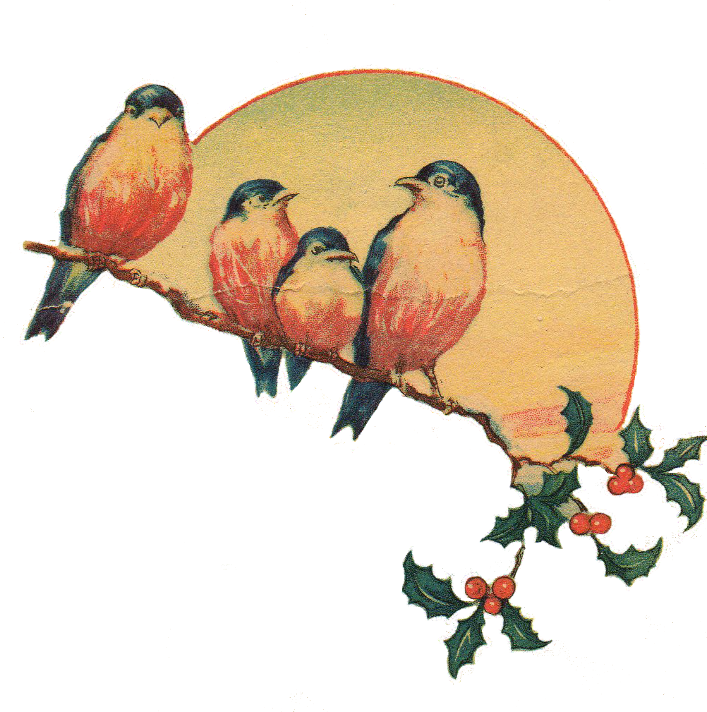 Christmas Bird PNG Picture