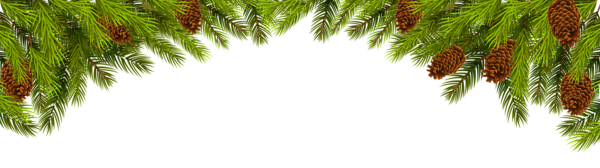Branches de Noël PNG Clipart