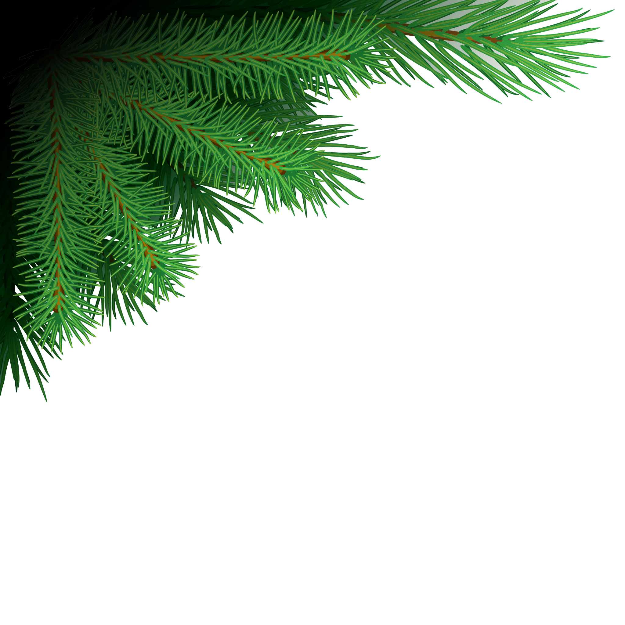 Christmas Branches PNG Free Download