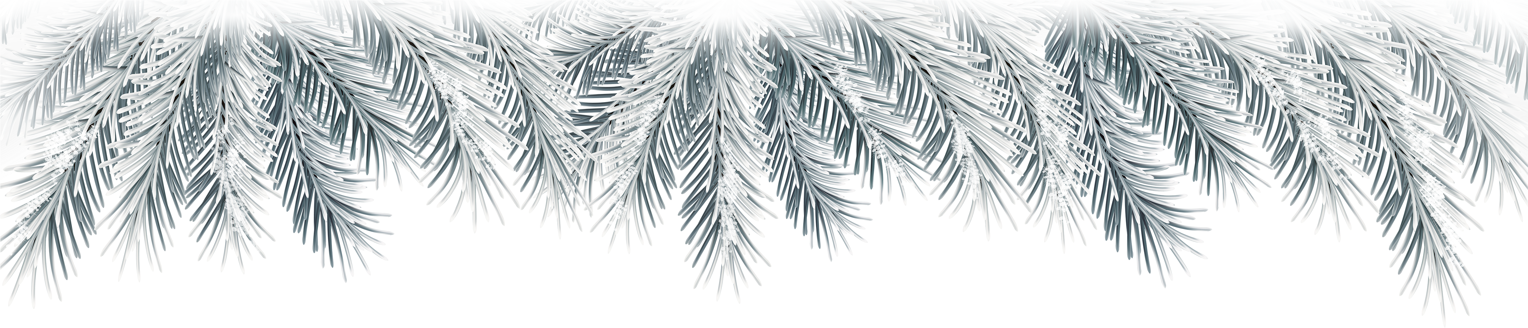Christmas Branches PNG HD