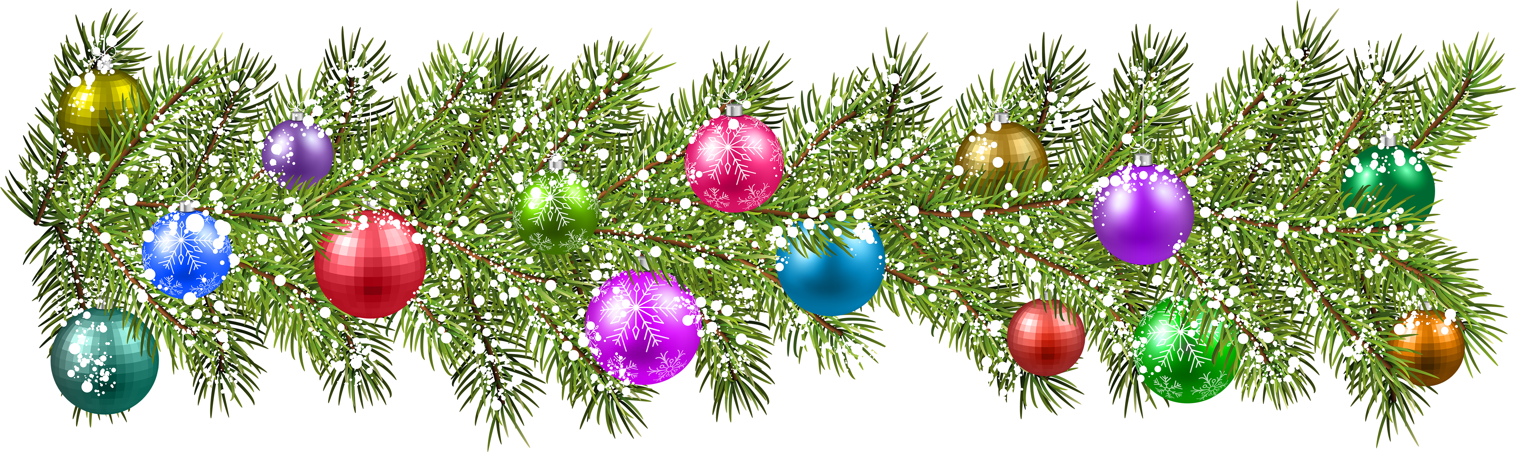 Christmas Branches PNG Photos