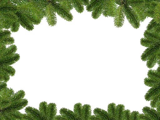 Christmas Branches PNG Picture