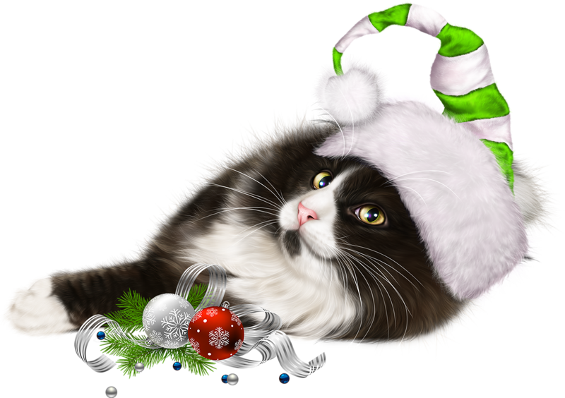 Christmas Kitten PNG File