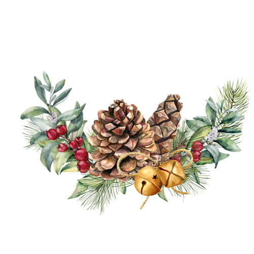 Christmas Pine Cone PNG Photo