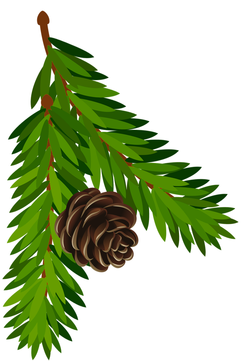 Christmas Pine Cone PNG Picture