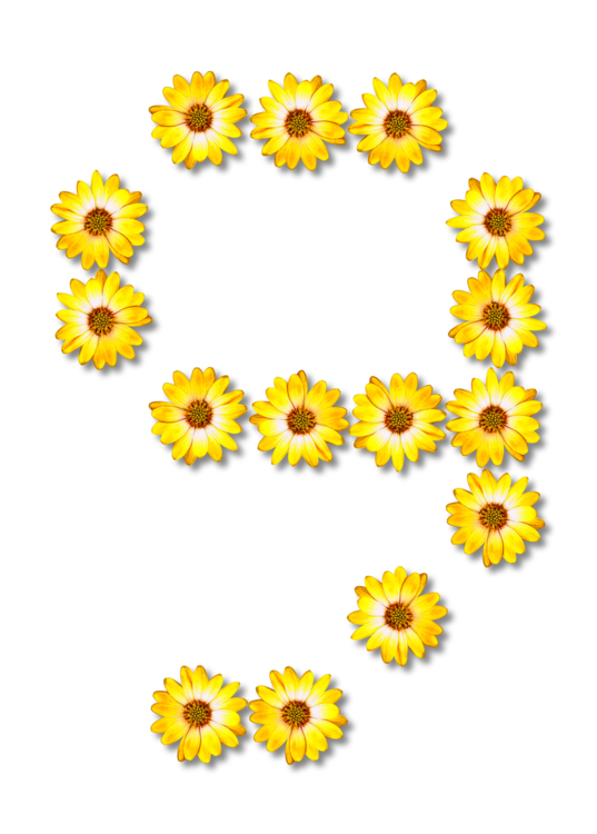 الرقم الزهور PNG صورة خلفية