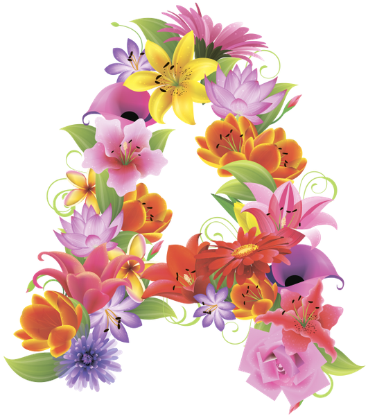 Arquivo de PNG do alfabeto de flor