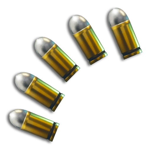 Fortnite ammunition Pic