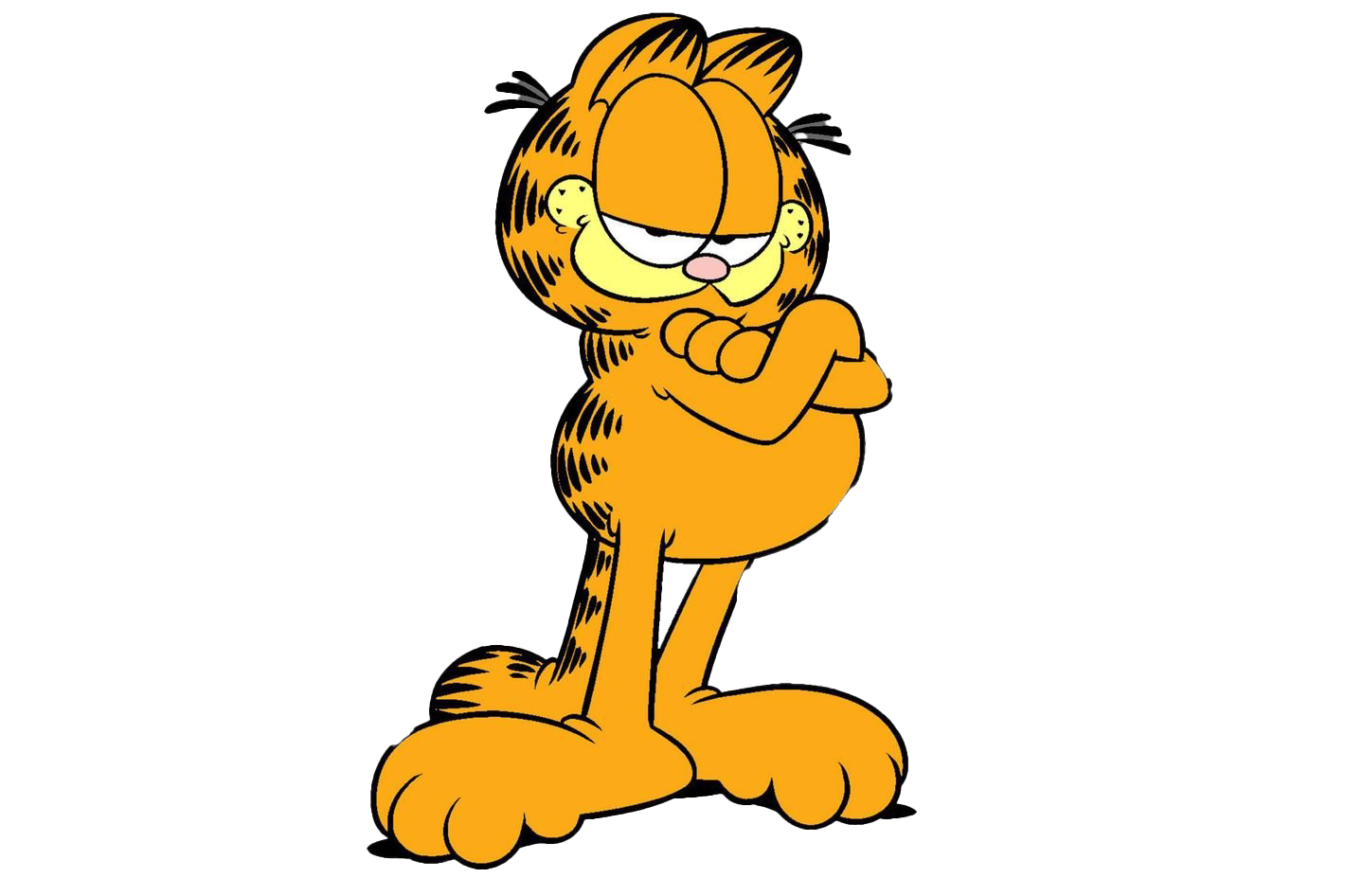 Garfield Cartoon PNG File