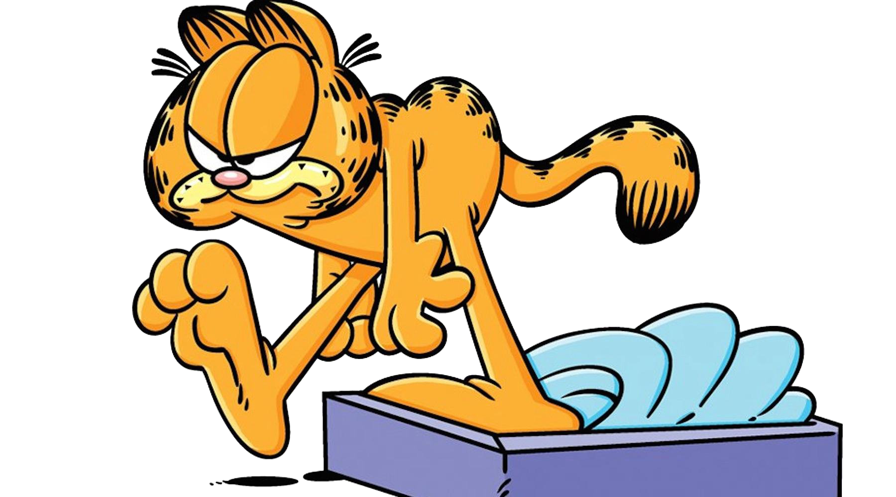 Garfield PNG Foto
