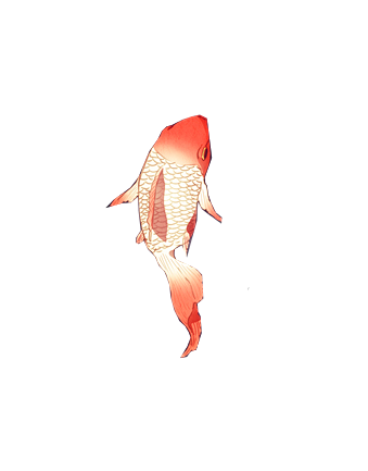 Goldener Koi-Fisch-PNG transparent