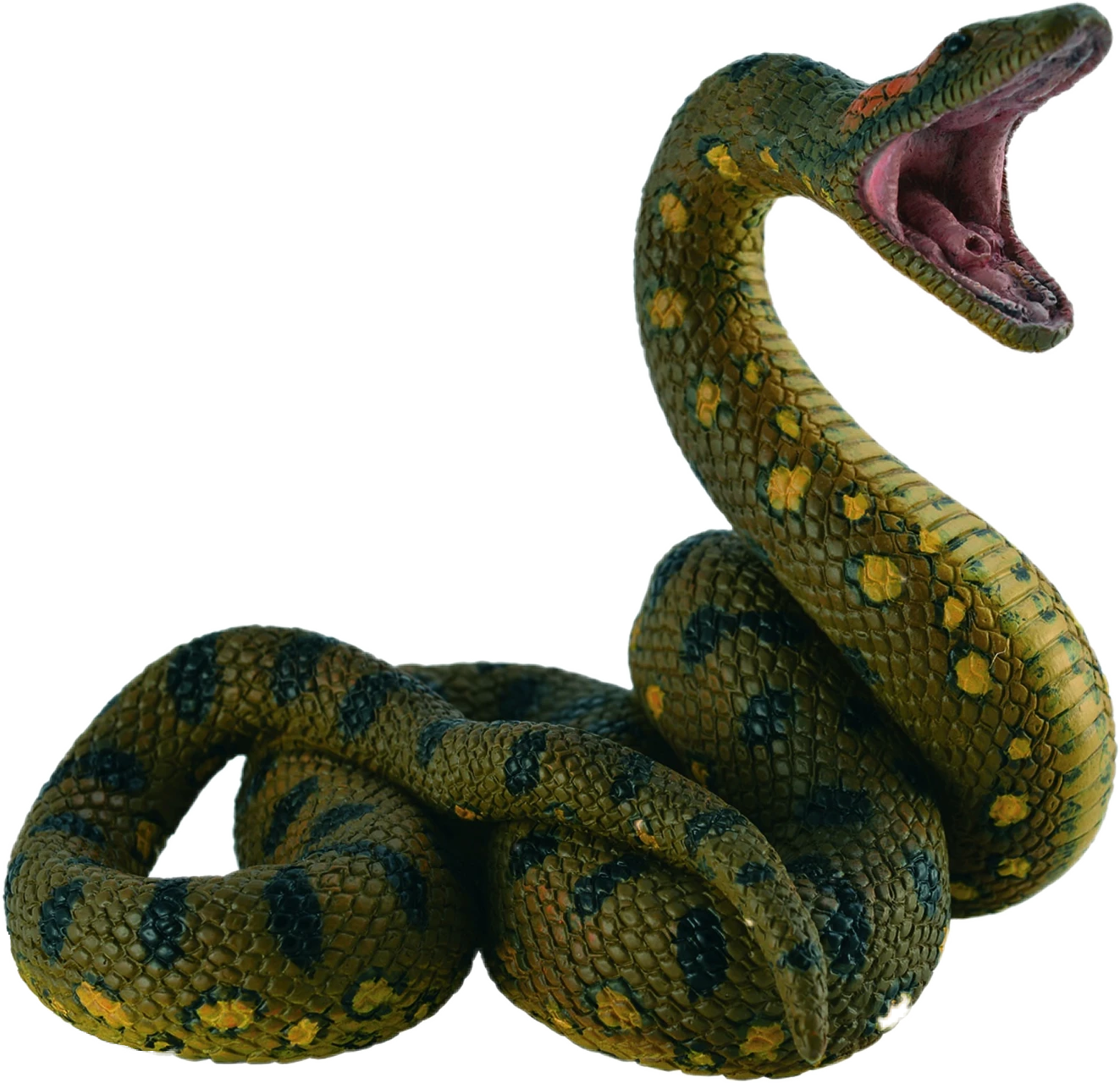 Green Anaconda PNG File