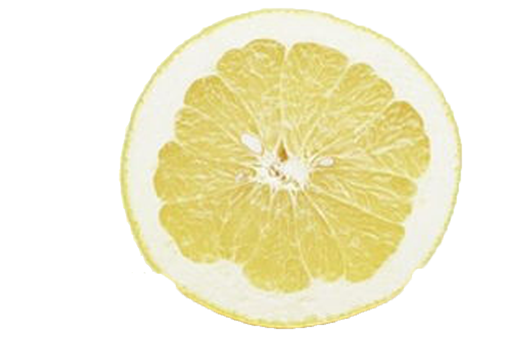 Moitié citron PNG hd