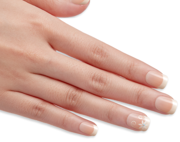 Nail PNG Transparent Picture
