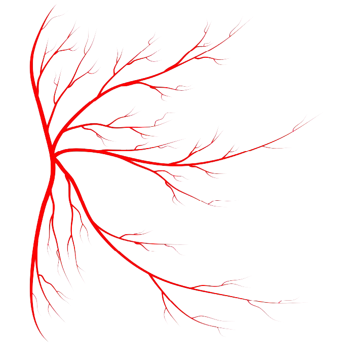 Red Veins PNG Image