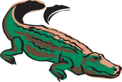Vector Alligator PNG Background Image