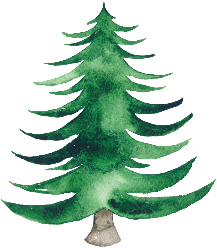 Suluboya Noel ağacı PNG şeffaf görüntü