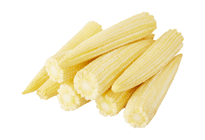 Baby Corn Cobs Mature PNG