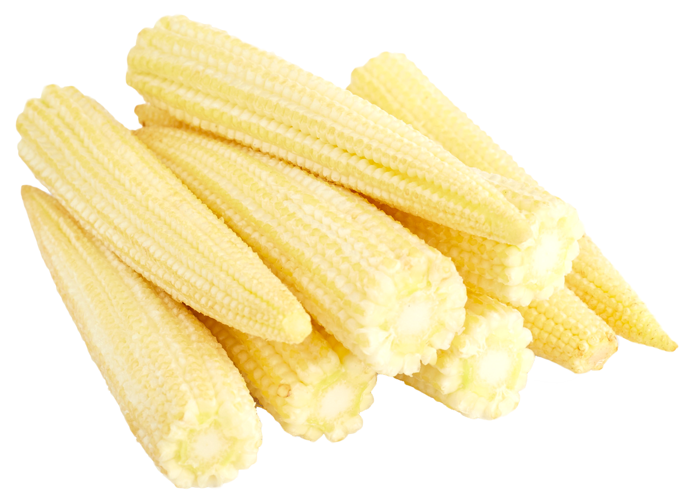 Dried Baby Corn Cobs Transparent PNG