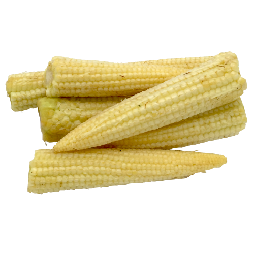 Mature Baby Corn Cobs Transparent PNG