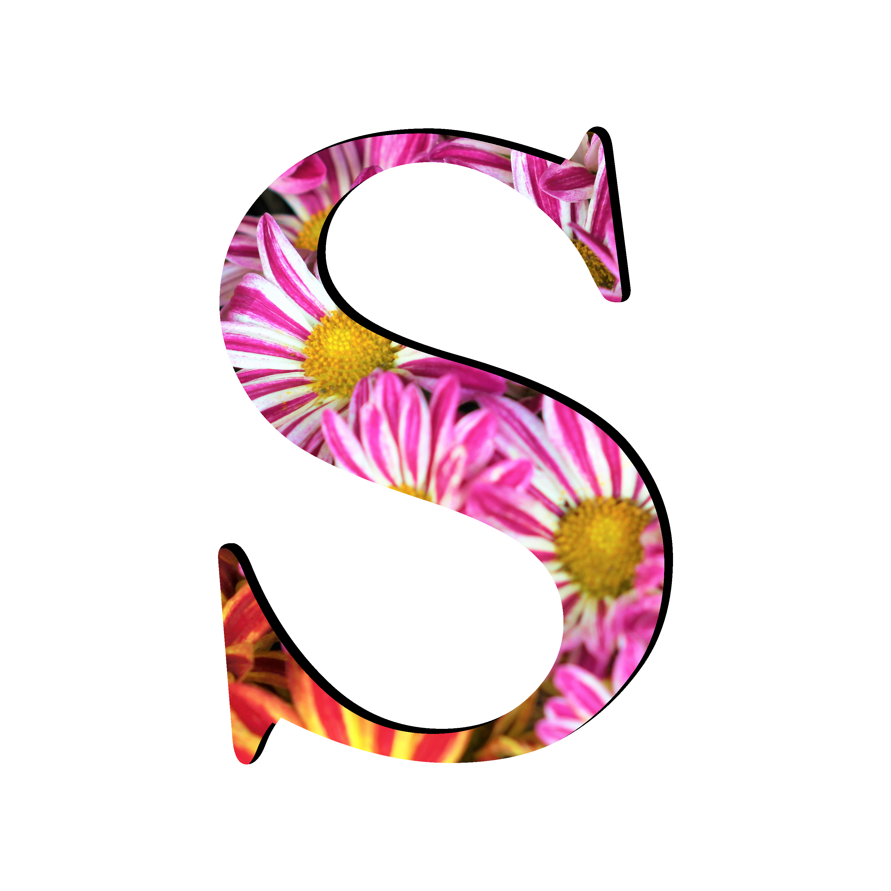 S Letter PNG Free Download