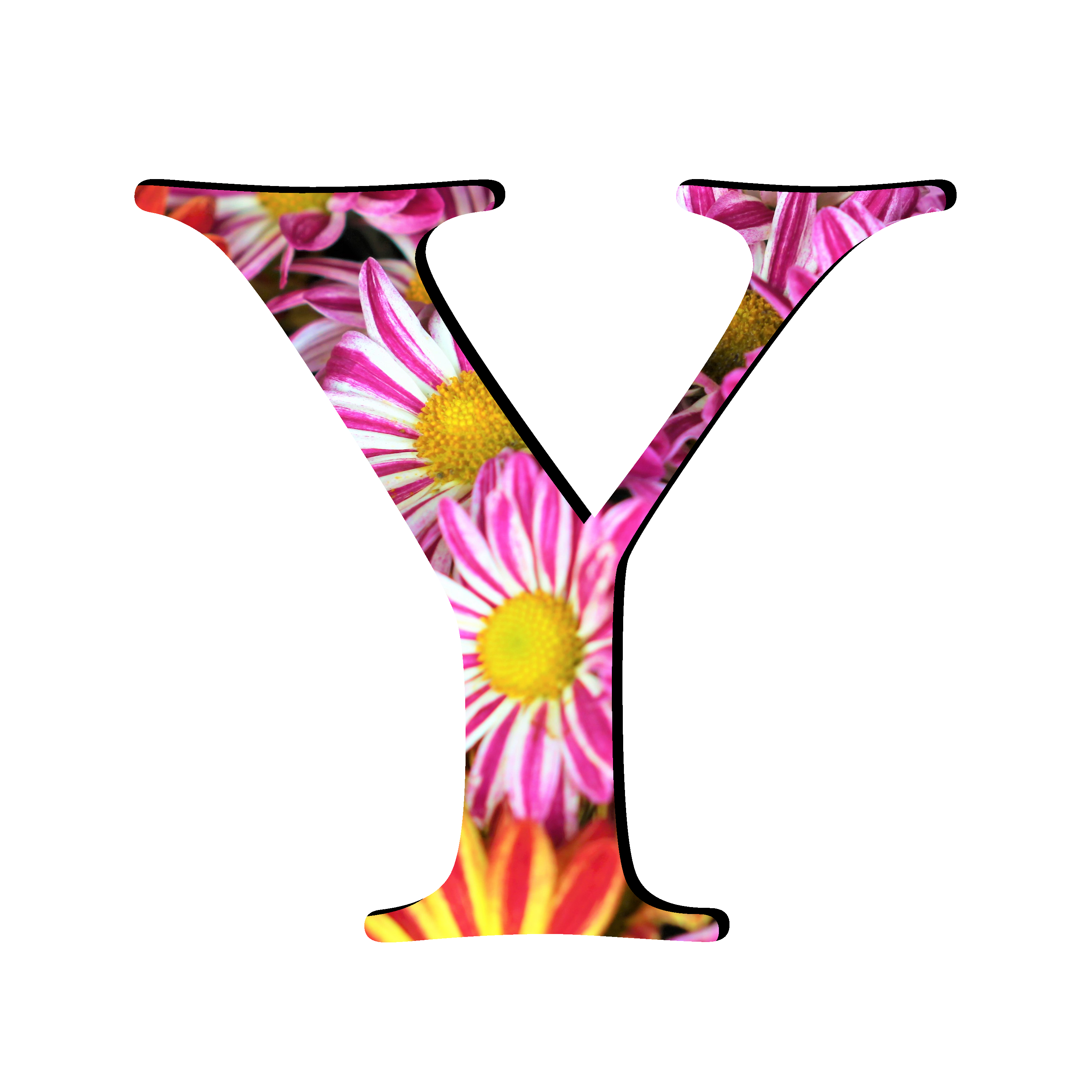 Y letra PNG PICture