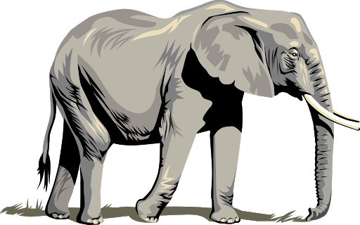 African Vector Elephant PNG Picture