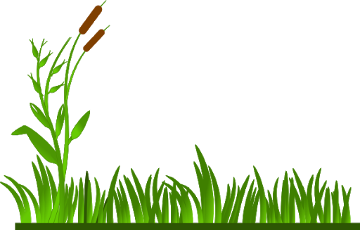 Agriculture herbe champ PNG Clipart