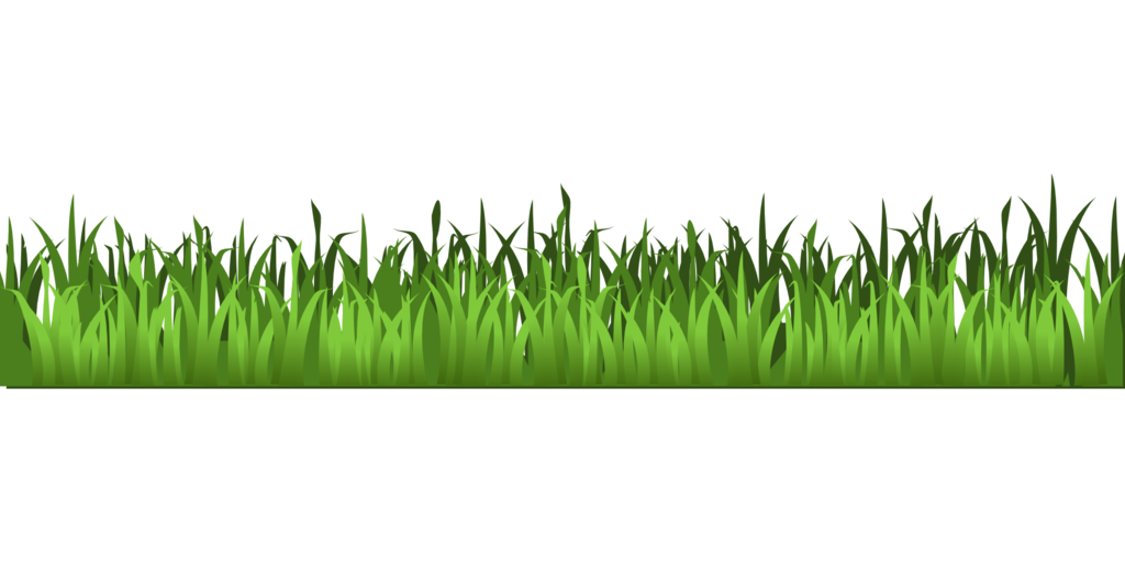 Agriculture Grass Field PNG Transparent Image